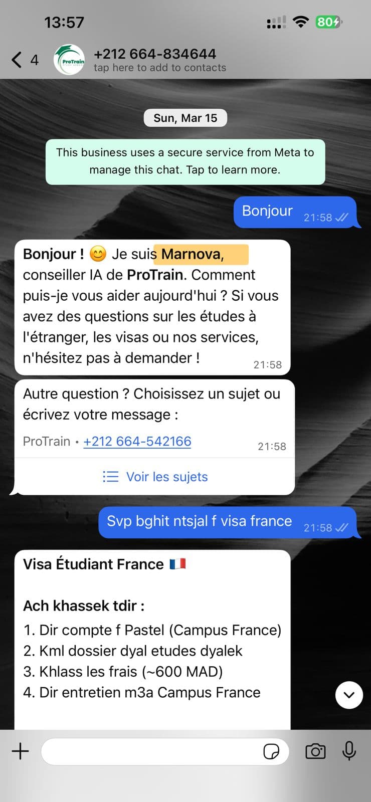 AI agent conversation on WhatsApp